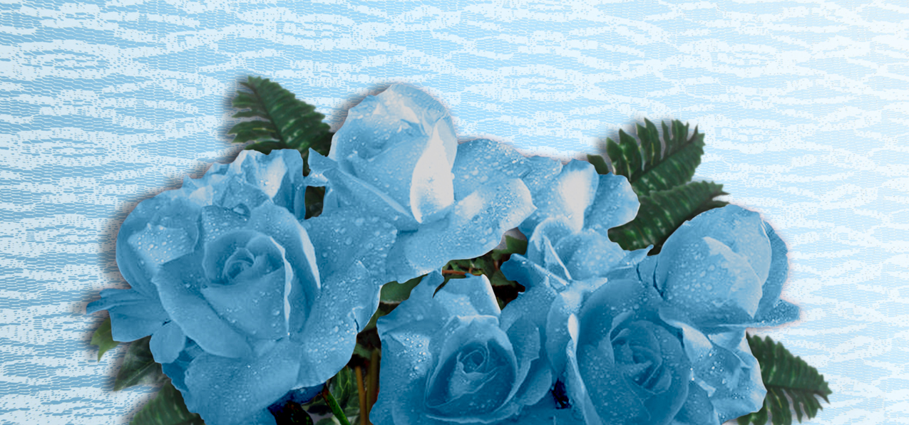 Bouquet Of Roses Blue (Spanish)